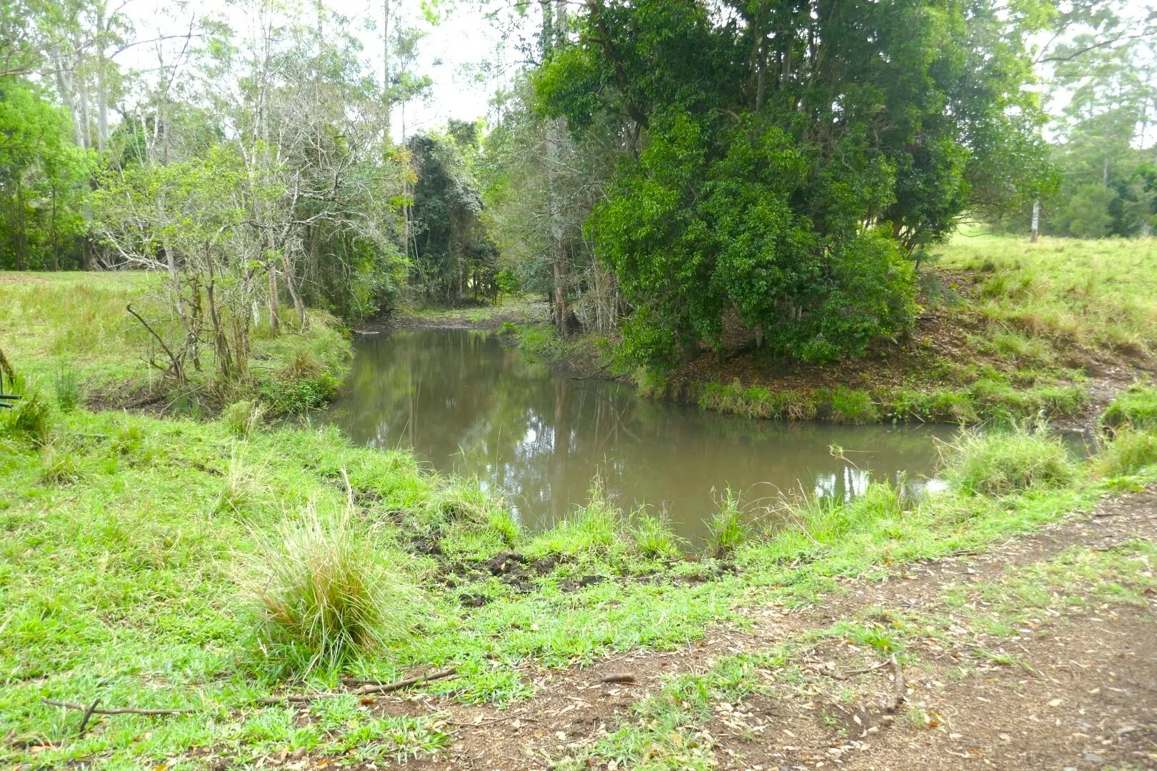 Image 14