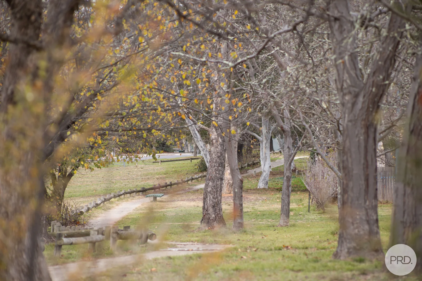 Additional image 15 of 5 Fristrom Crescent, Lyneham ACT 2602