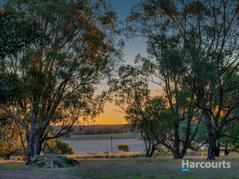 26 Tifway Place, Carabooda WA 6033