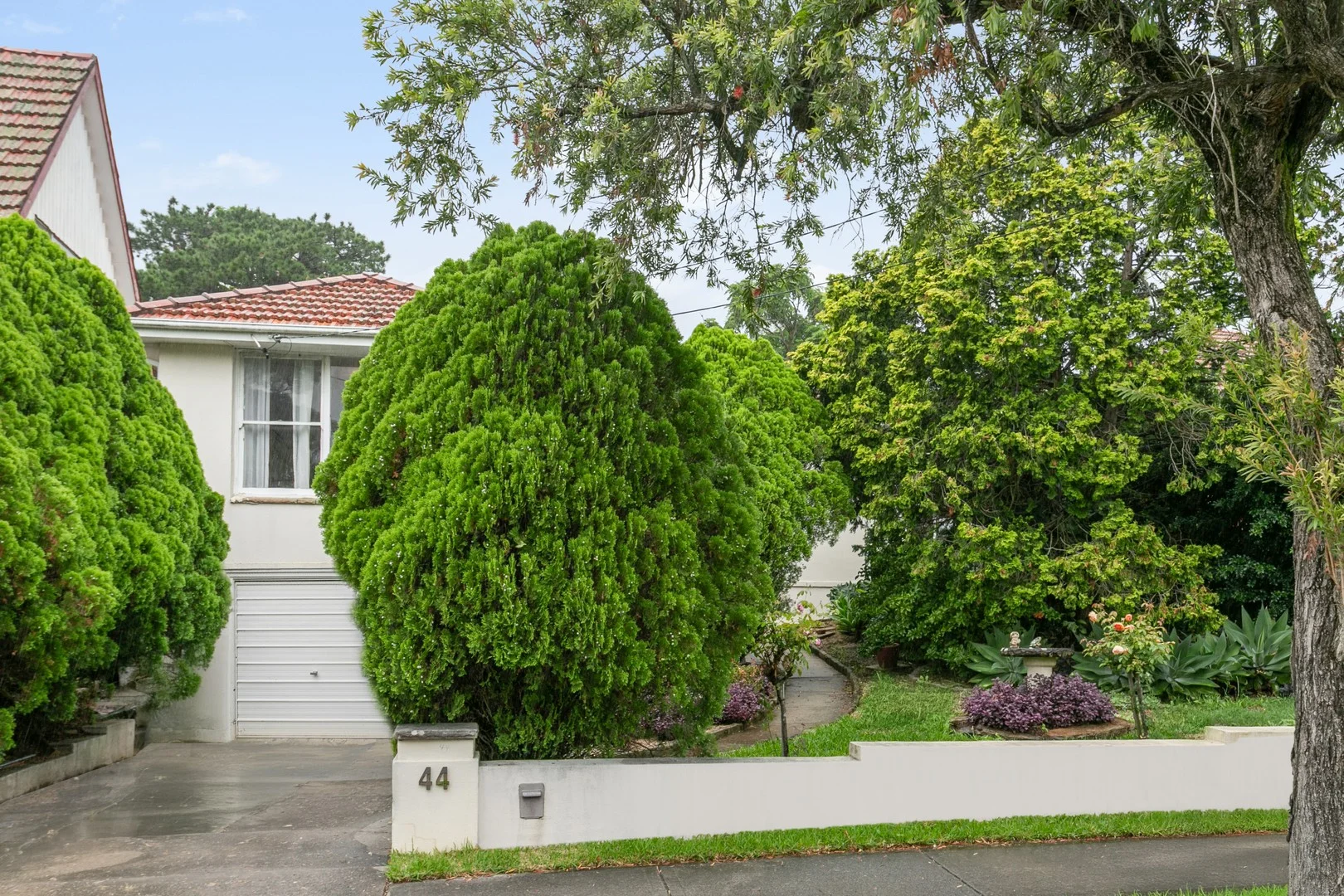 Additional image 6 of 44 Parry Avenue, Narwee NSW 2209