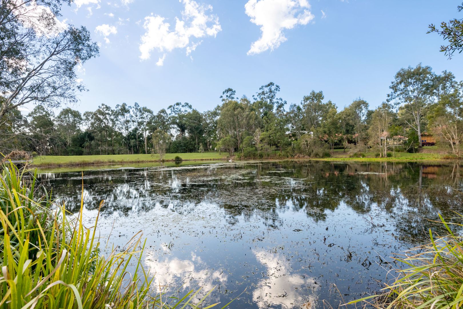 2 Suprano Place, Wakerley QLD 4154, Image 2