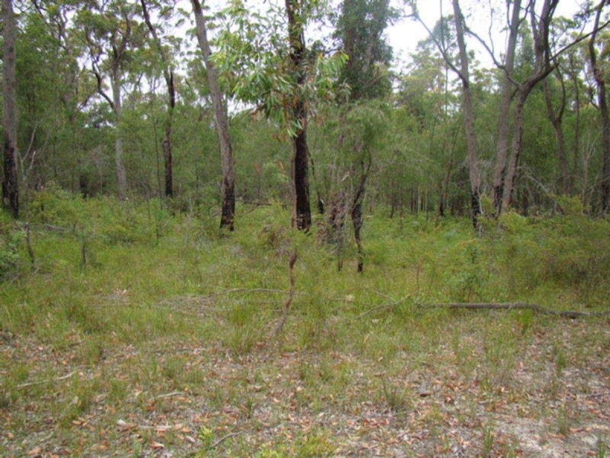 Lot 568 Lusitania Avenue, Basin View NSW 2540, Image 2