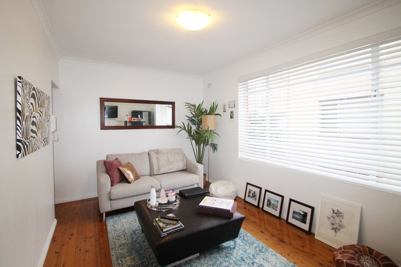 1/2 Harvard Street, Gladesville NSW 2111, Image 2