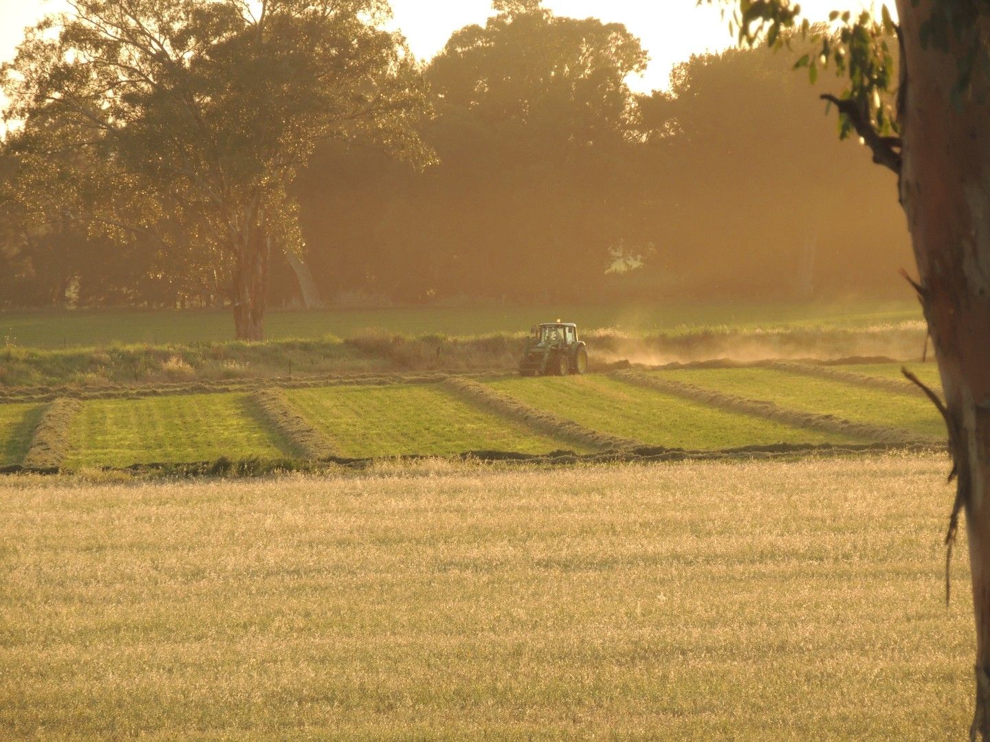 Settlement Bridge Road, Canowindra NSW 2804, Image 2