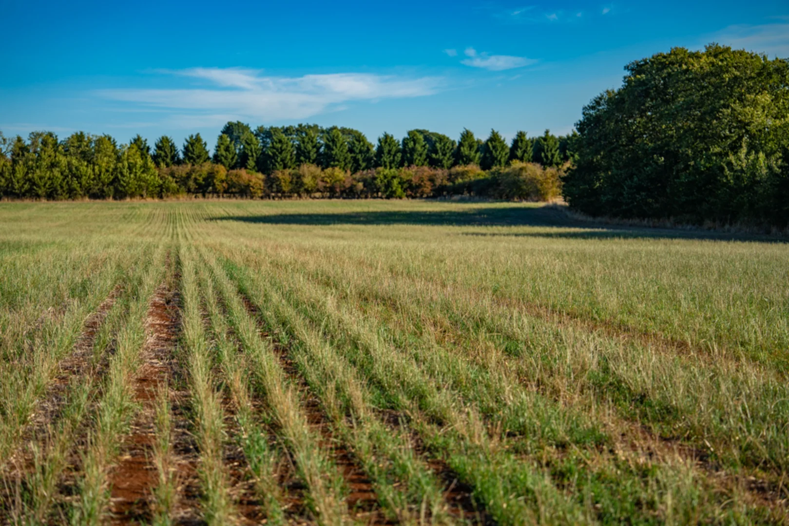 Additional image 16 of 180 Sharpes Road, Miners Rest VIC 3352