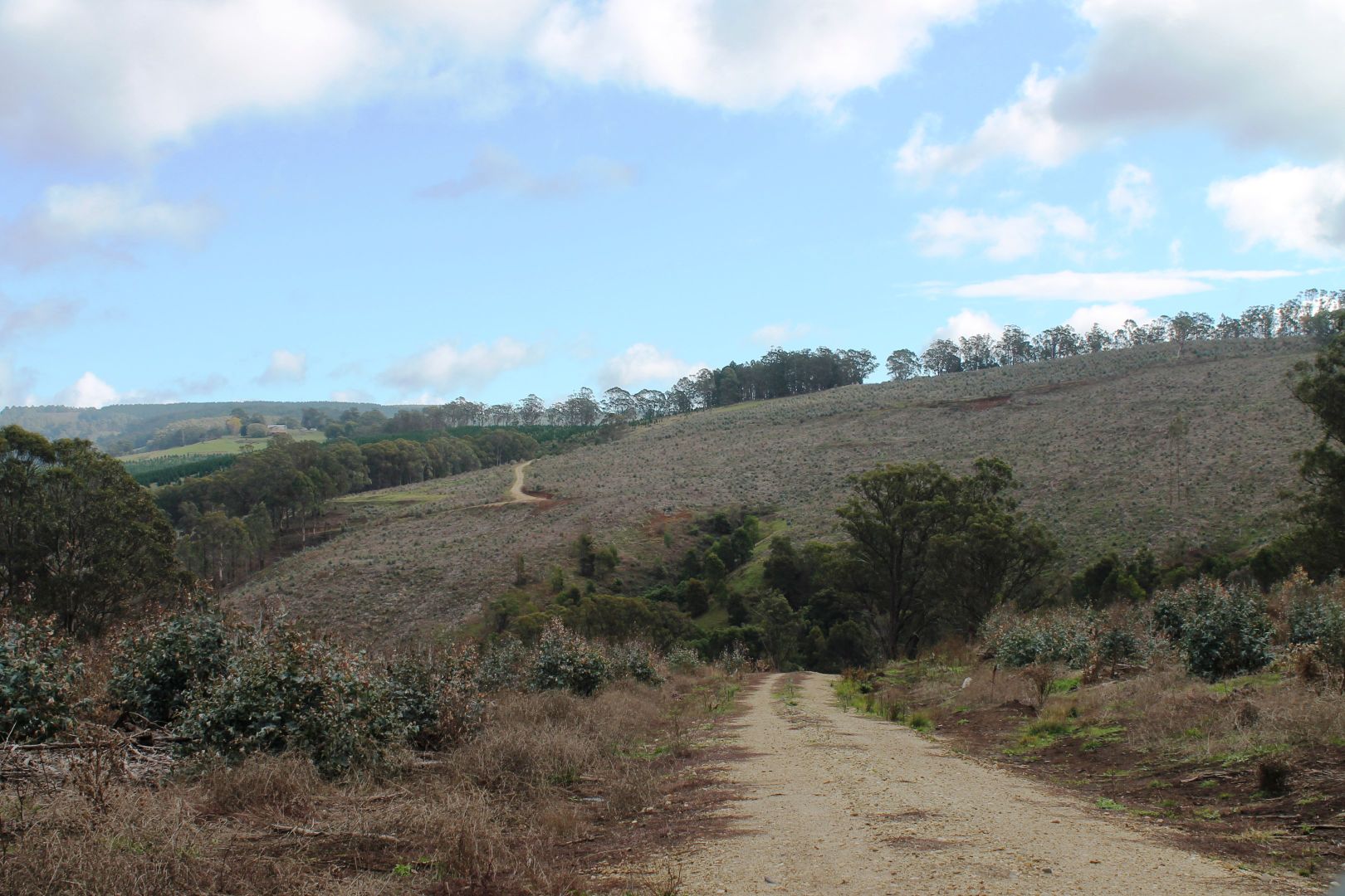 ' Rottenberry' 205 Carrajung Lower Road, Carrajung Lower VIC 3844, Image 1