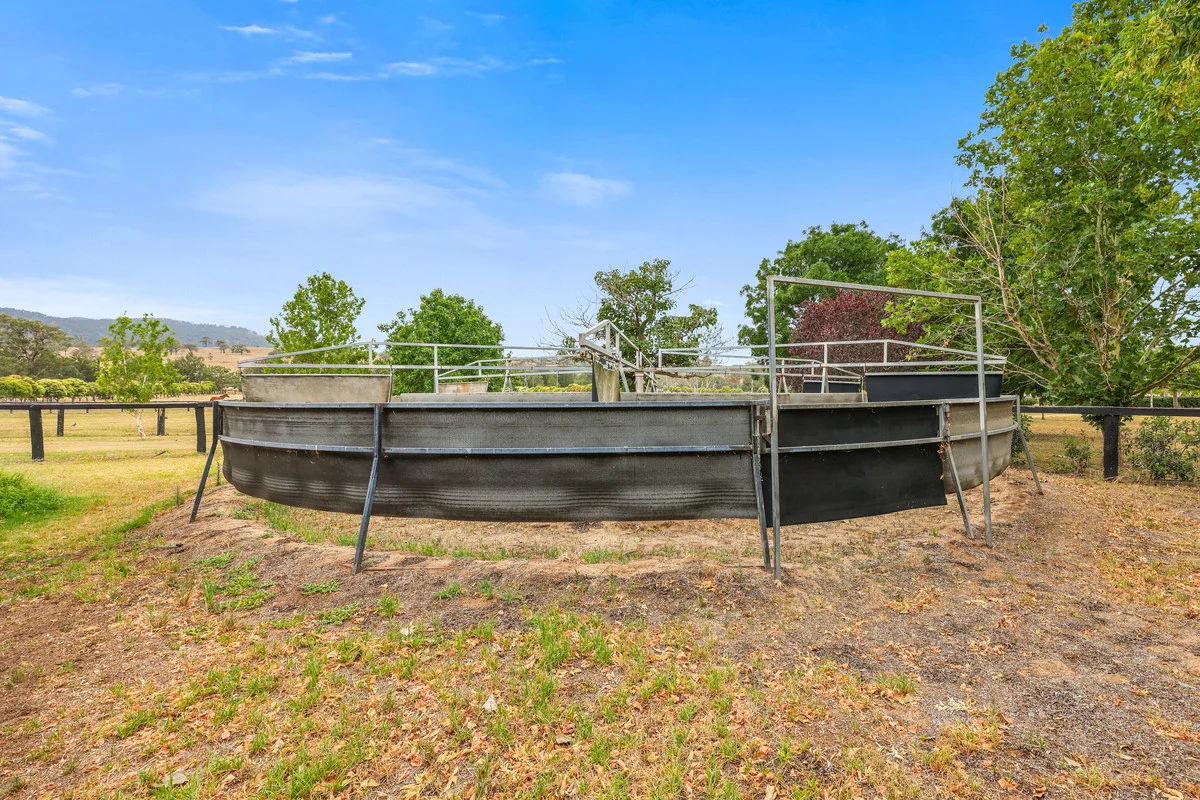 Additional image 15 of 164 Upper Dartbrook Road, Scone NSW 2337