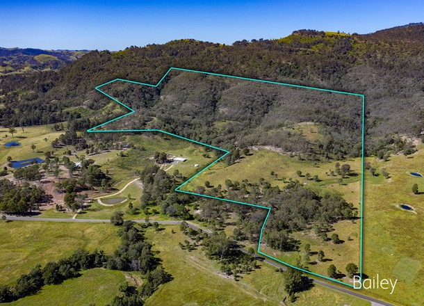 1522 Mirannie Road, Reedy Creek NSW 2330