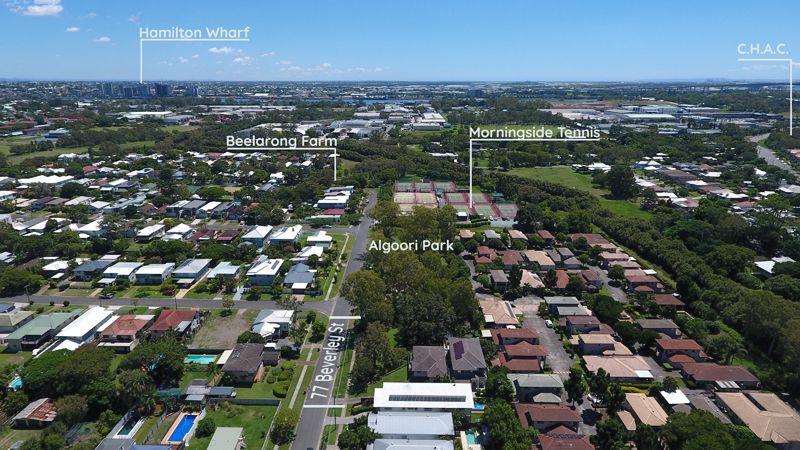 77 Beverley Street, Morningside QLD 4170, Image 1