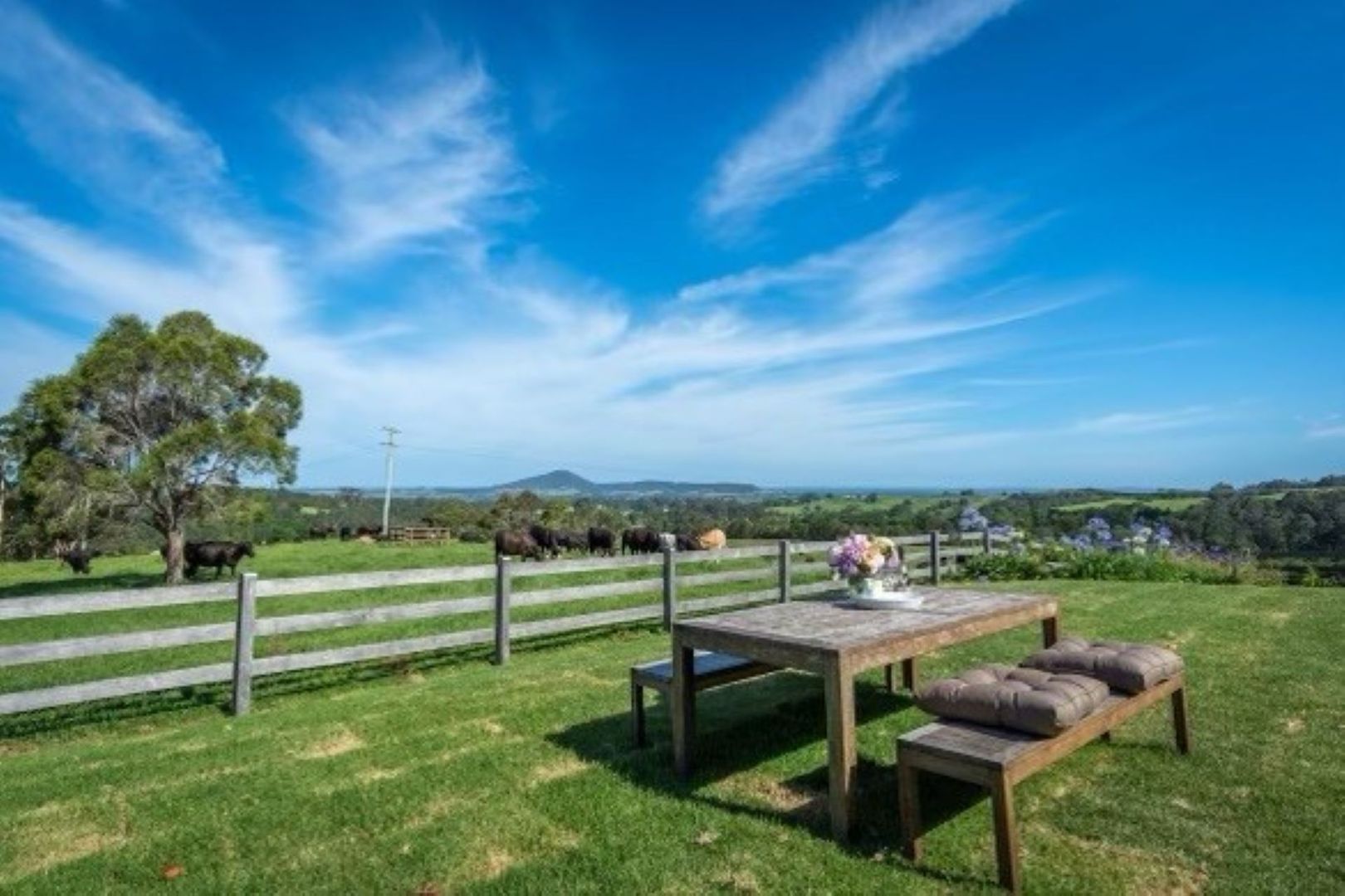 246B Strongs Road, Berry NSW 2535 House For Rent Domain