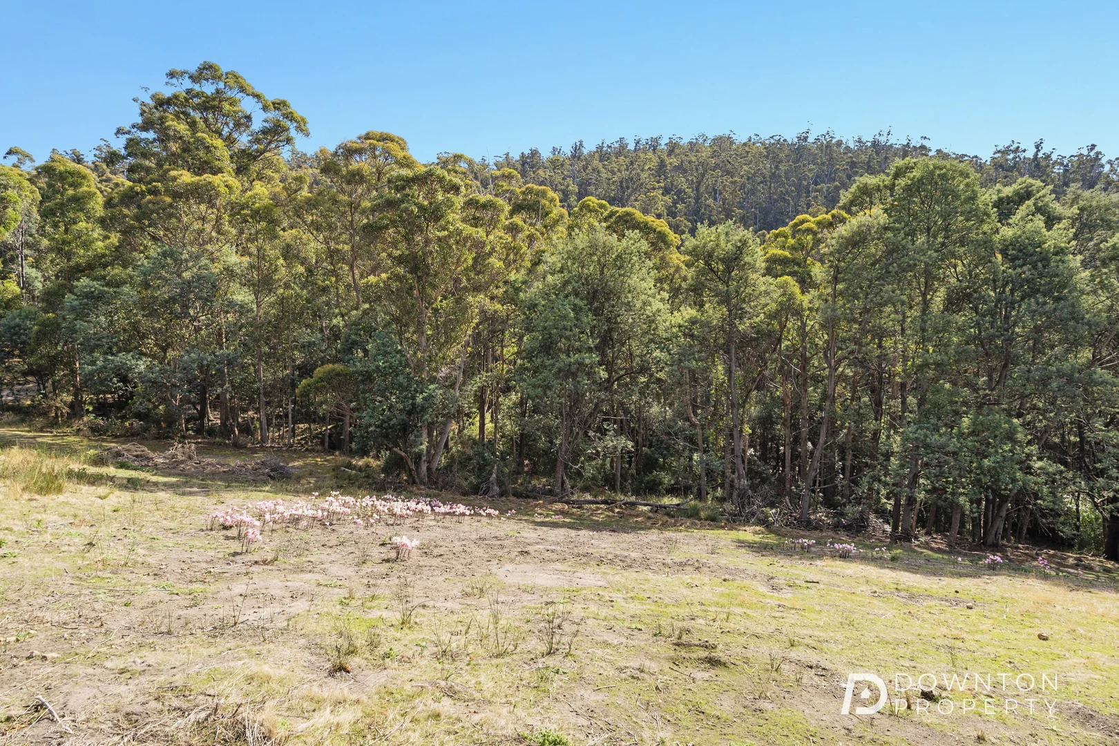 Additional image 16 of 35 Old Farm Road, South Hobart TAS 7004