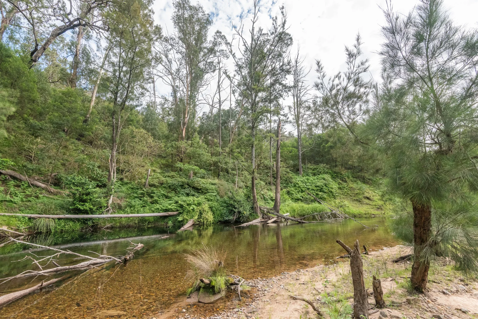 Additional image 22 of 2600 Araluen Road, Deua River Valley NSW 2537