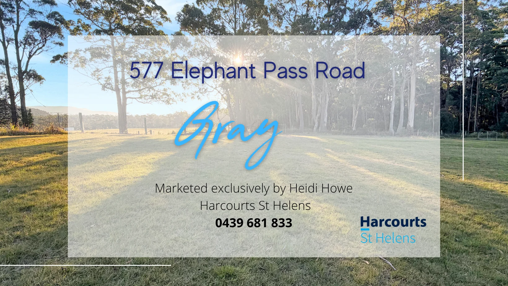 Additional image 22 of 577 Elephant Pass Road, Gray TAS 7215