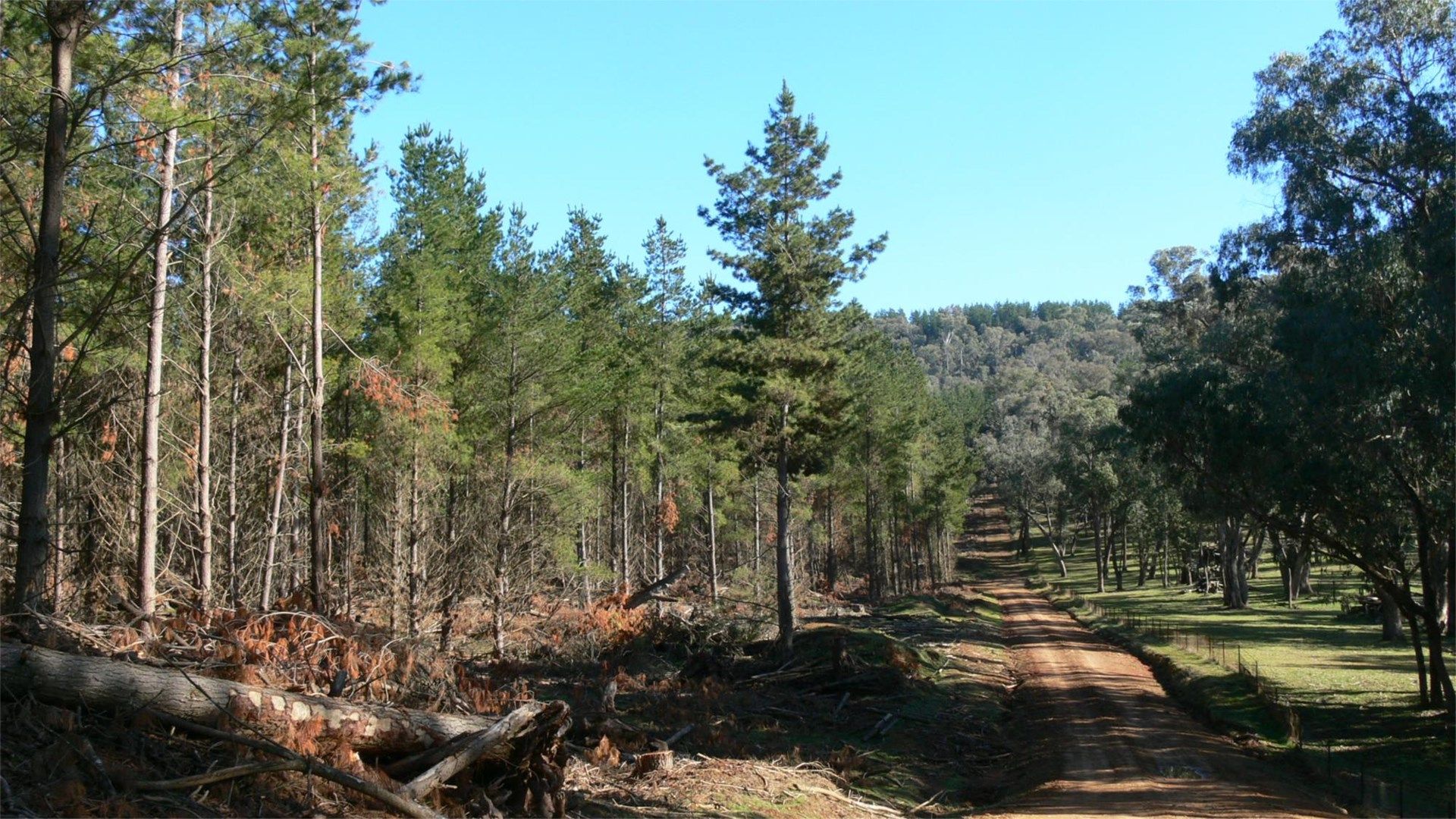 Lot 1 & 2 Jingellic Road, Lankeys Creek NSW 2644, Image 0