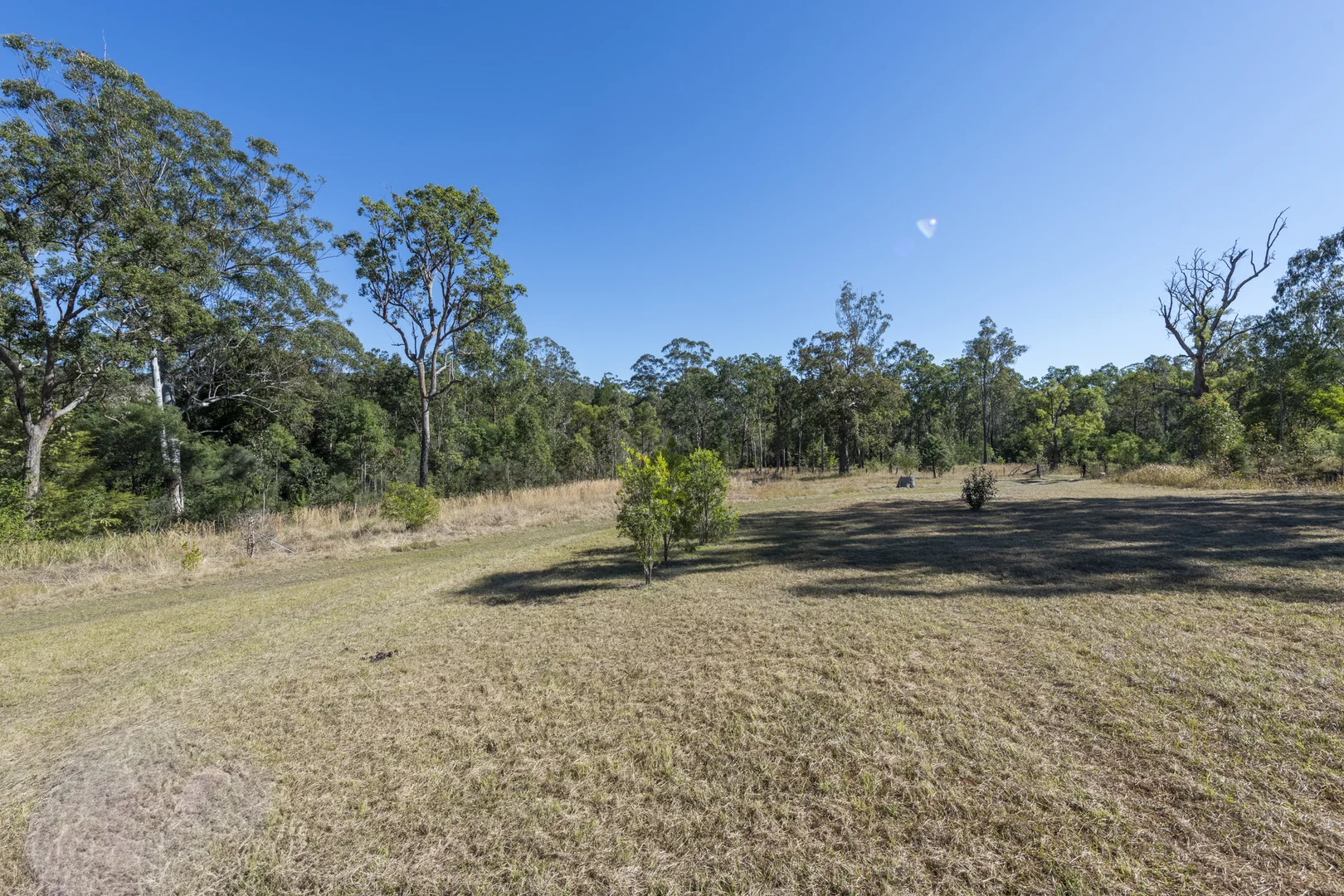 Image 15