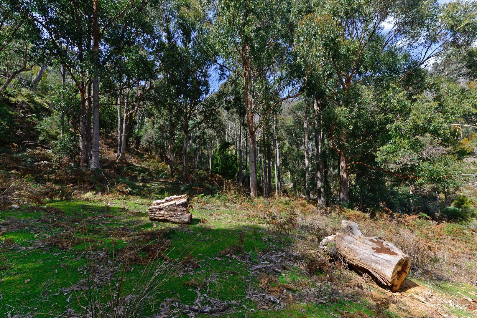 283 Wyre Forest Road, Molesworth TAS 7140, Image 2