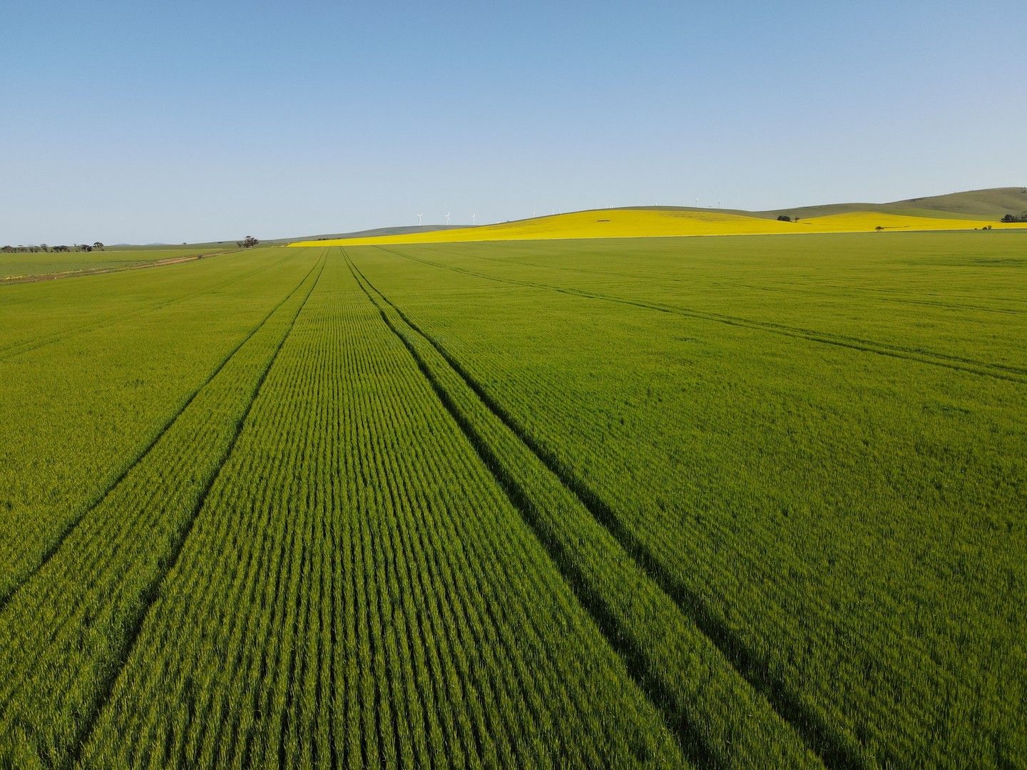 Rural in 681 Hydon Rd, COLLINSFIELD SA, 5555