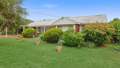 Picture of 59 Nowland Avenue, QUIRINDI NSW 2343