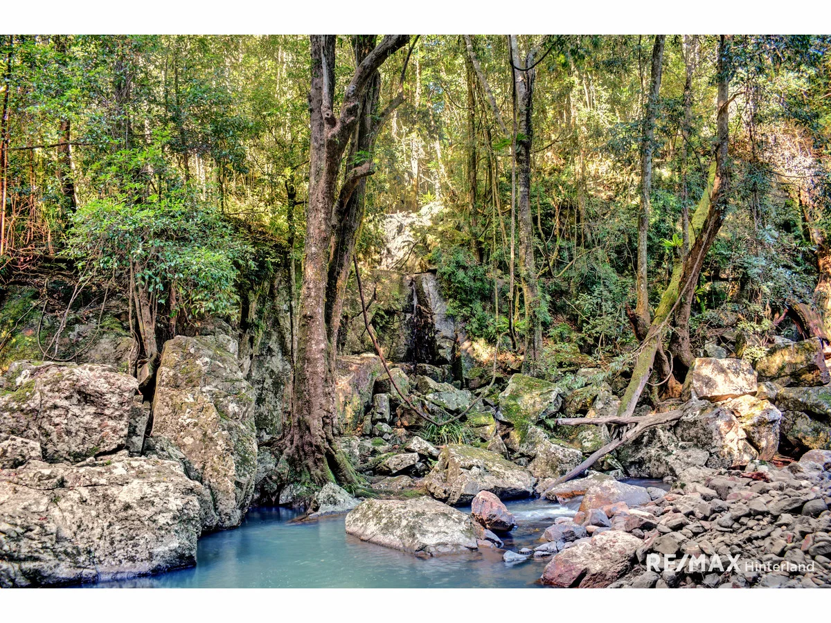 Additional image 32 of 211 Bridge Creek Road, Maleny QLD 4552