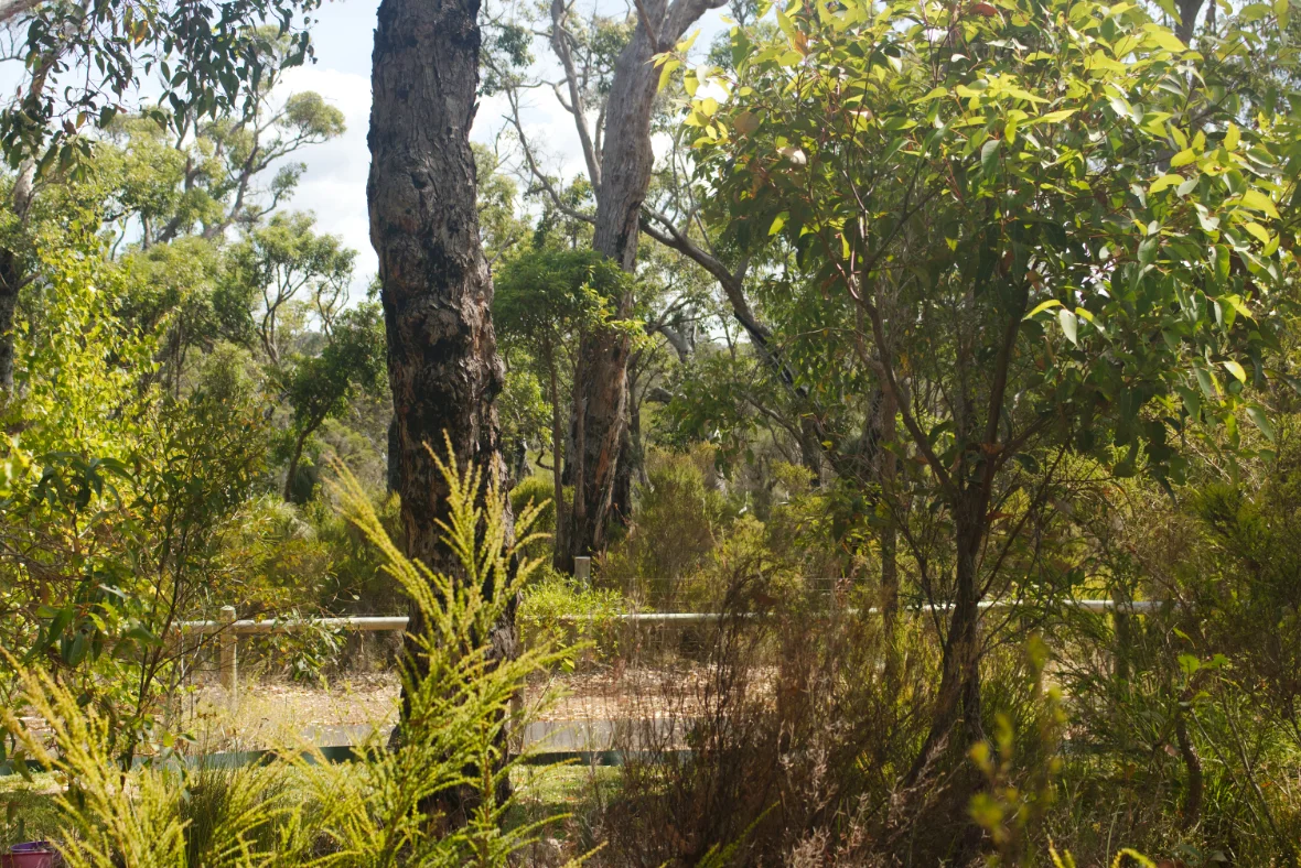 Additional image 8 of 80 Karri Street, Walpole WA 6398