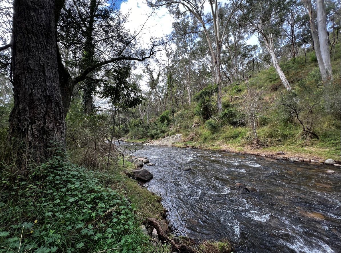 189/1118 Neringla Road, Neringla NSW 2622, Image 0