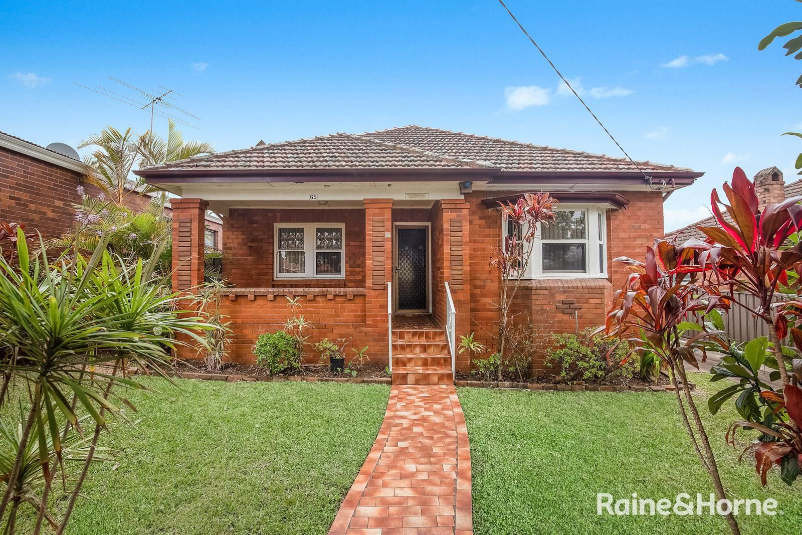 65 St Elmo Parade, Kingsgrove NSW 2208, Image 0