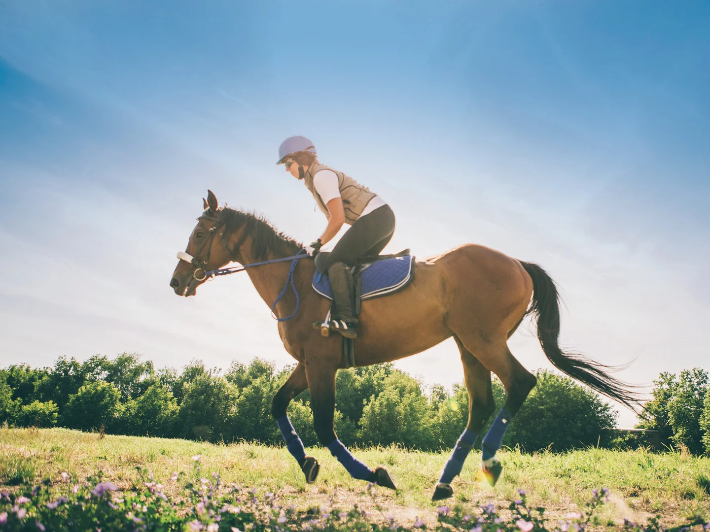 Additional image 7 of Lot 1001, Lucca Way, Hidden Valley VIC 3756