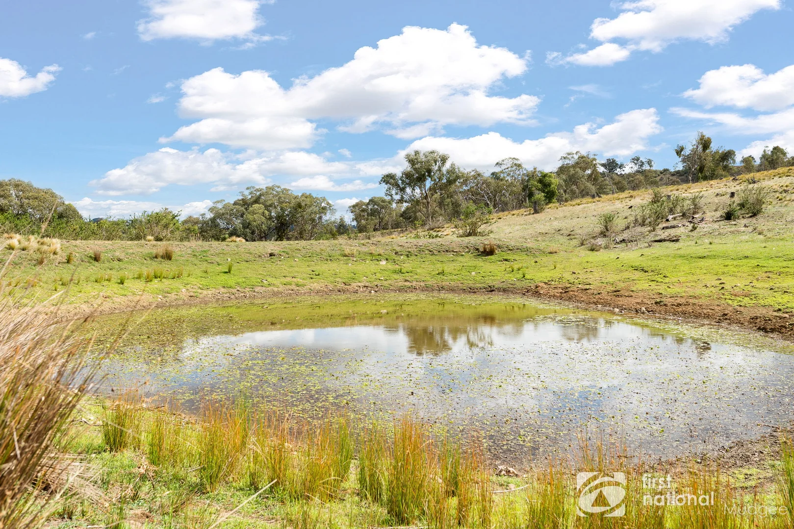 Additional image 6 of 763 Old Grattai Road, Mudgee NSW 2850