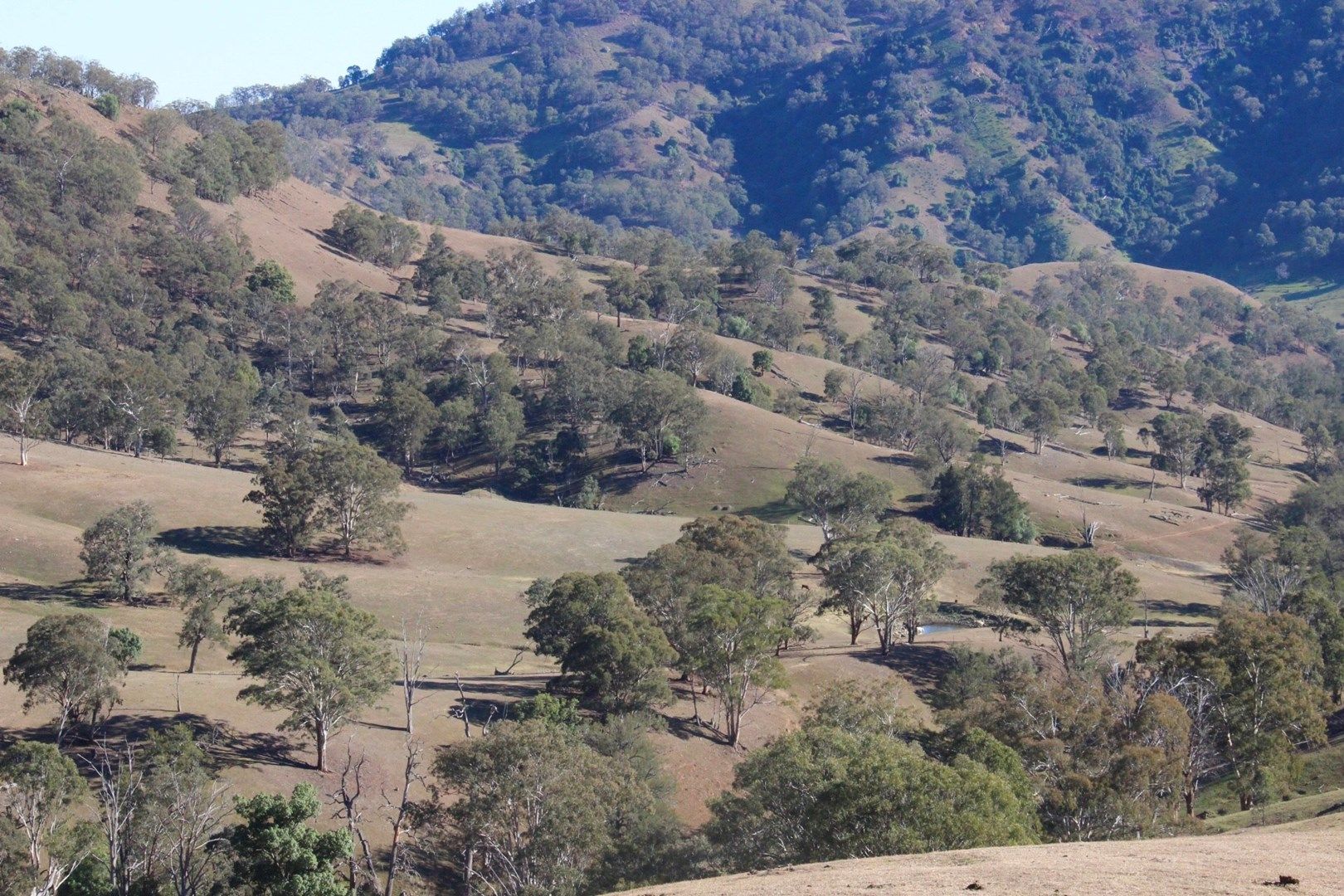 . "Oaky Gully" Stewarts Brook Via, Scone NSW 2337, Image 1