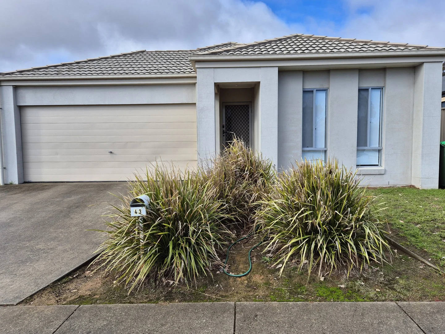 Primary image of 43 O'Meara Street, Wodonga VIC 3690