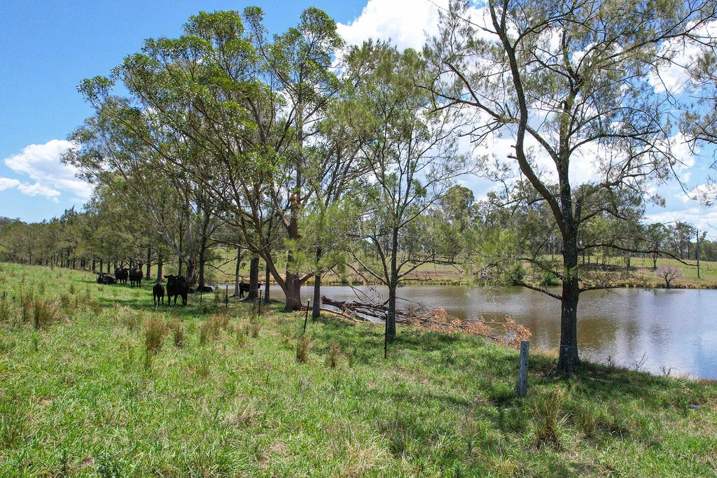 Image 41