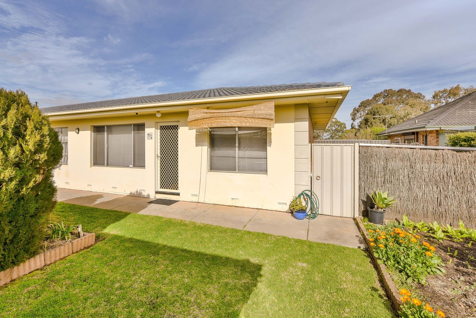 3/2 Beverley Street, Clovelly Park SA 5042 House For Rent Domain