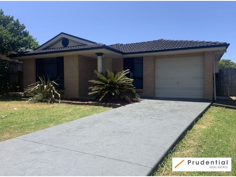 141 Holdsworth Drive, Mount Annan NSW 2567 House For Rent 600 Domain