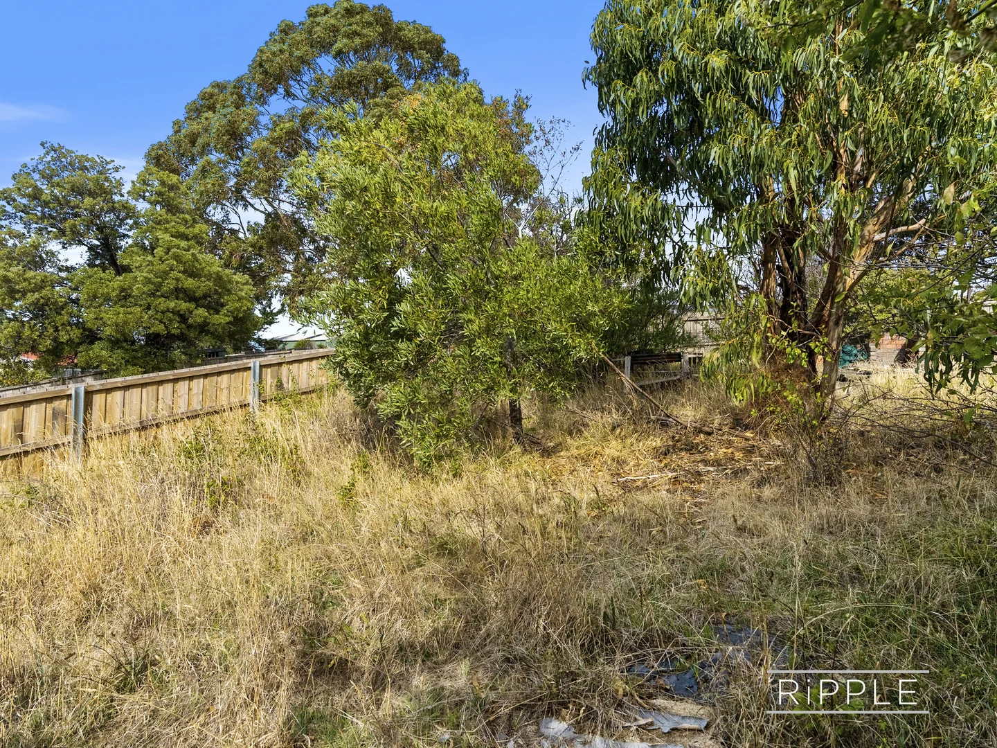 Additional image 28 of 11 Wylie Crescent, West Moonah TAS 7009