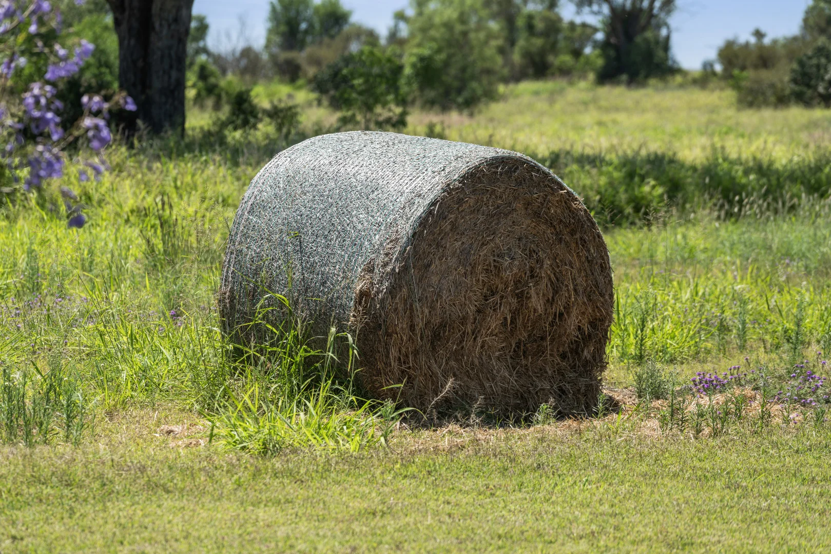 Image 22