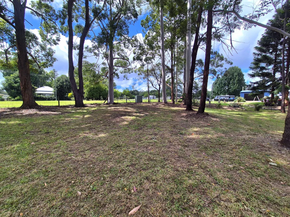 Image 11