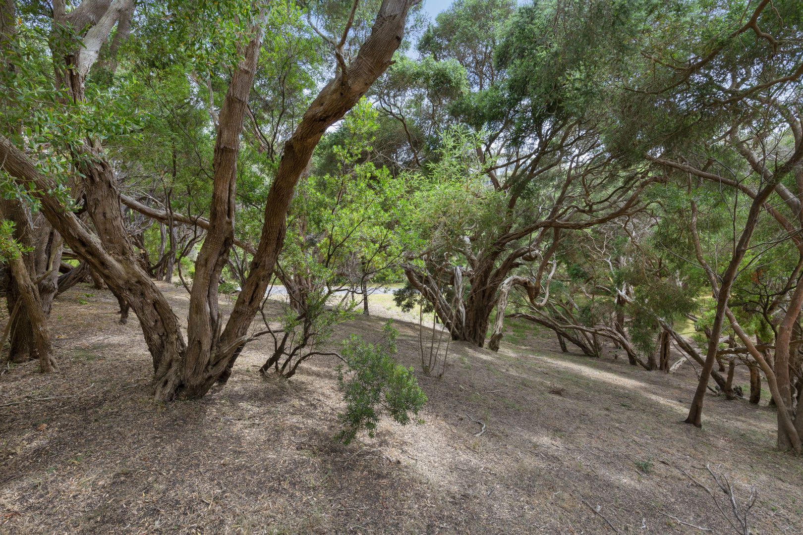 21 Yannuga Street, Rye VIC 3941, Image 2