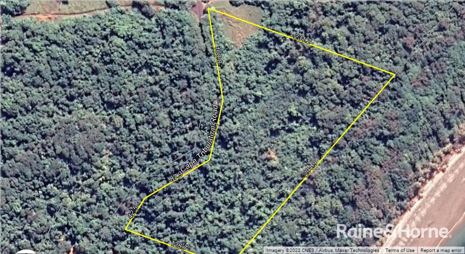 Lot 1 Cape Tribulation Road, CAPE TRIBULATION, Daintree QLD 4873, Image 1