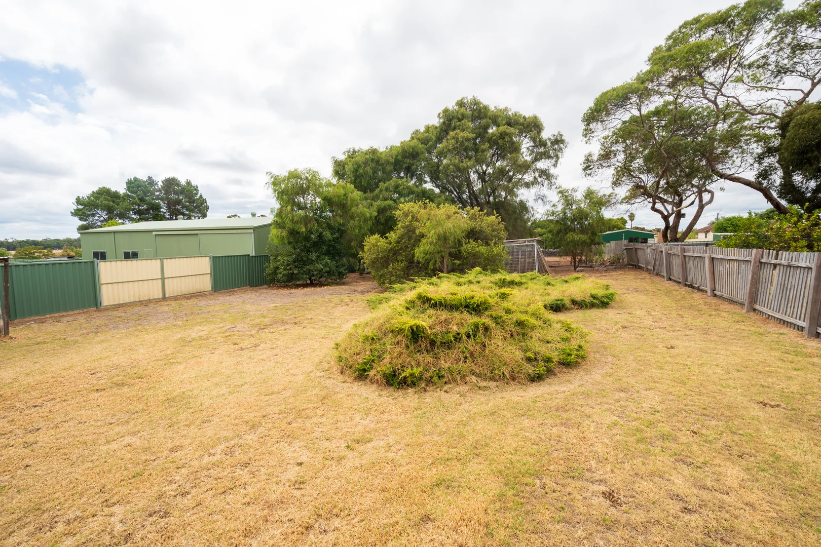 Image 25