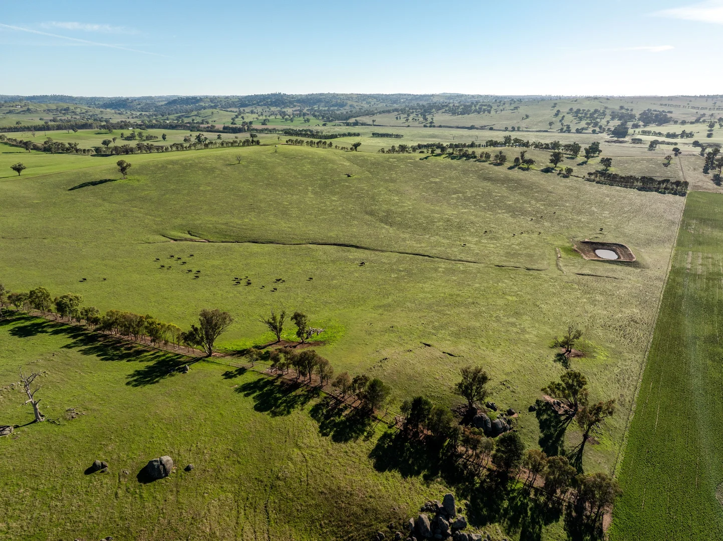 Additional image 15 of 478 Illawong Road, Jugiong NSW 2726