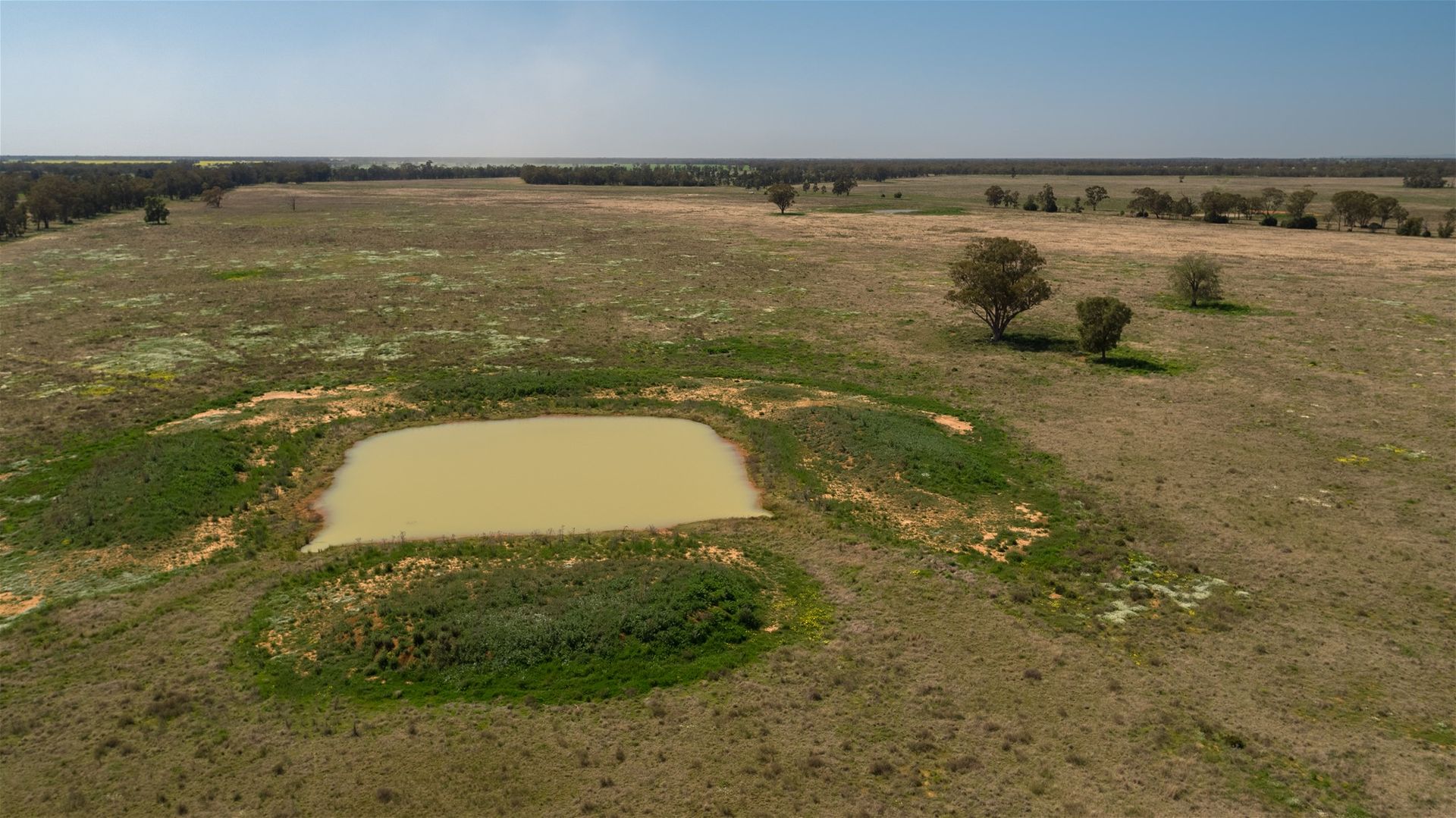 "PART OMAGH" Alagalah Road, Tullamore NSW 2874, Image 1