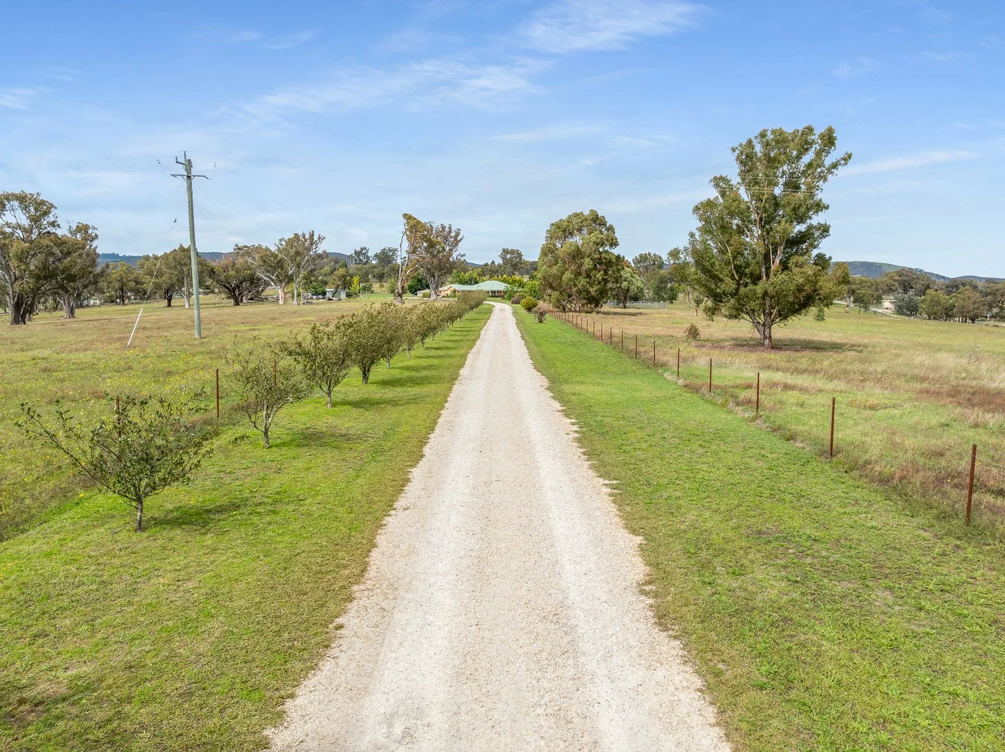 1289 Carlwood Road, O'Connell NSW 2795