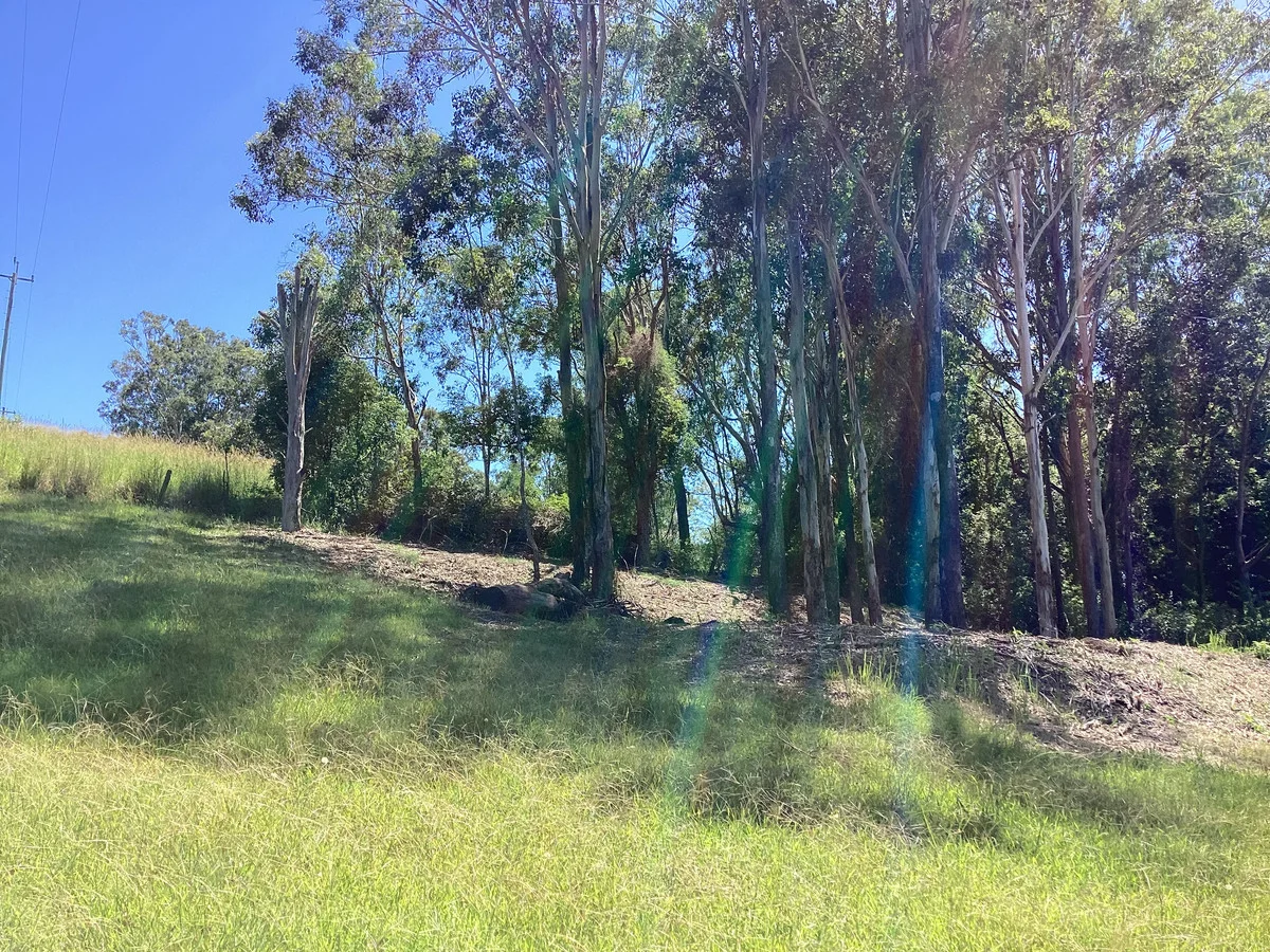 Additional image 15 of 54-58 Tooloom Street, Mallanganee NSW 2469