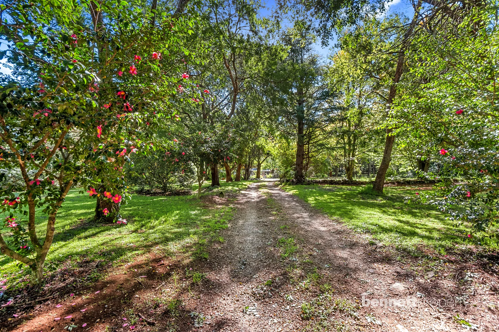 Additional image 21 of 2-4 Skyline Road, Mount Tomah NSW 2758