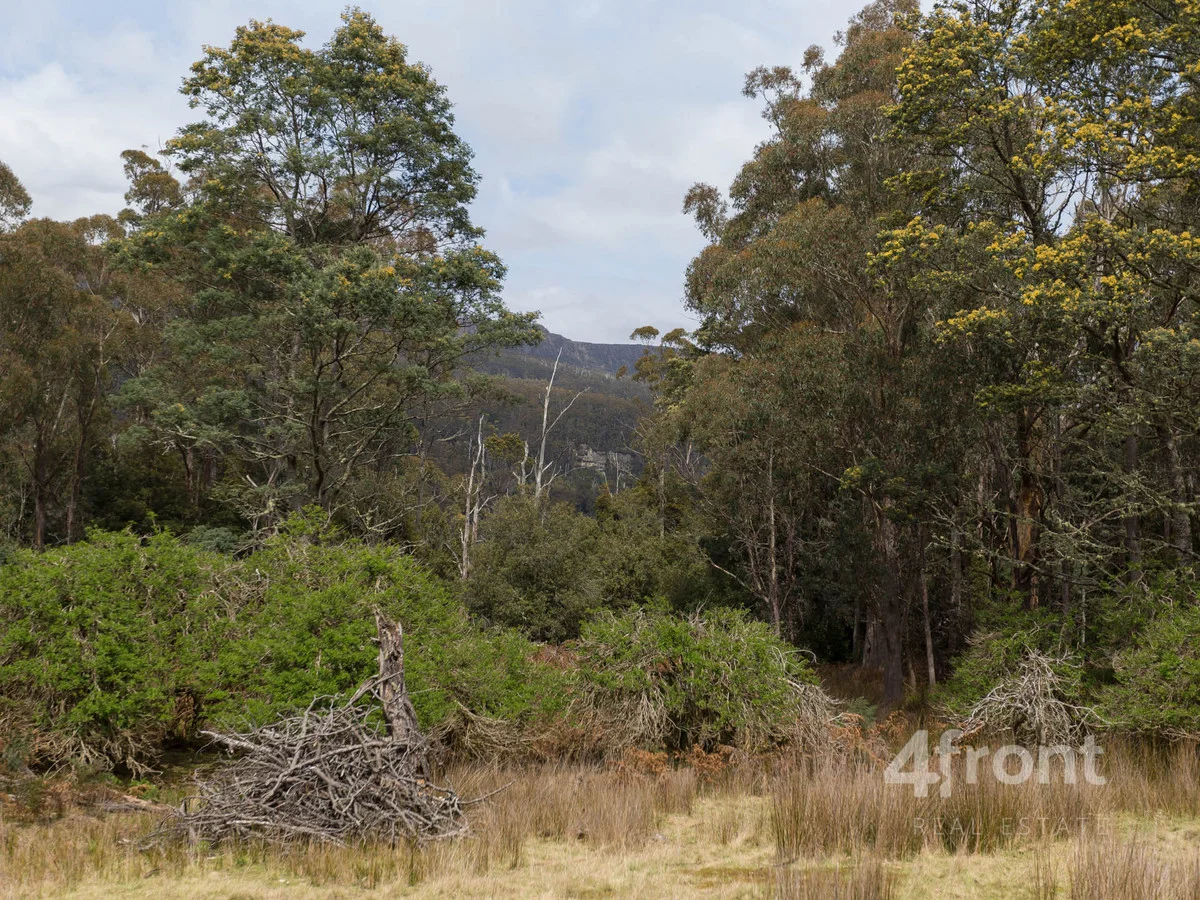 Image 15
