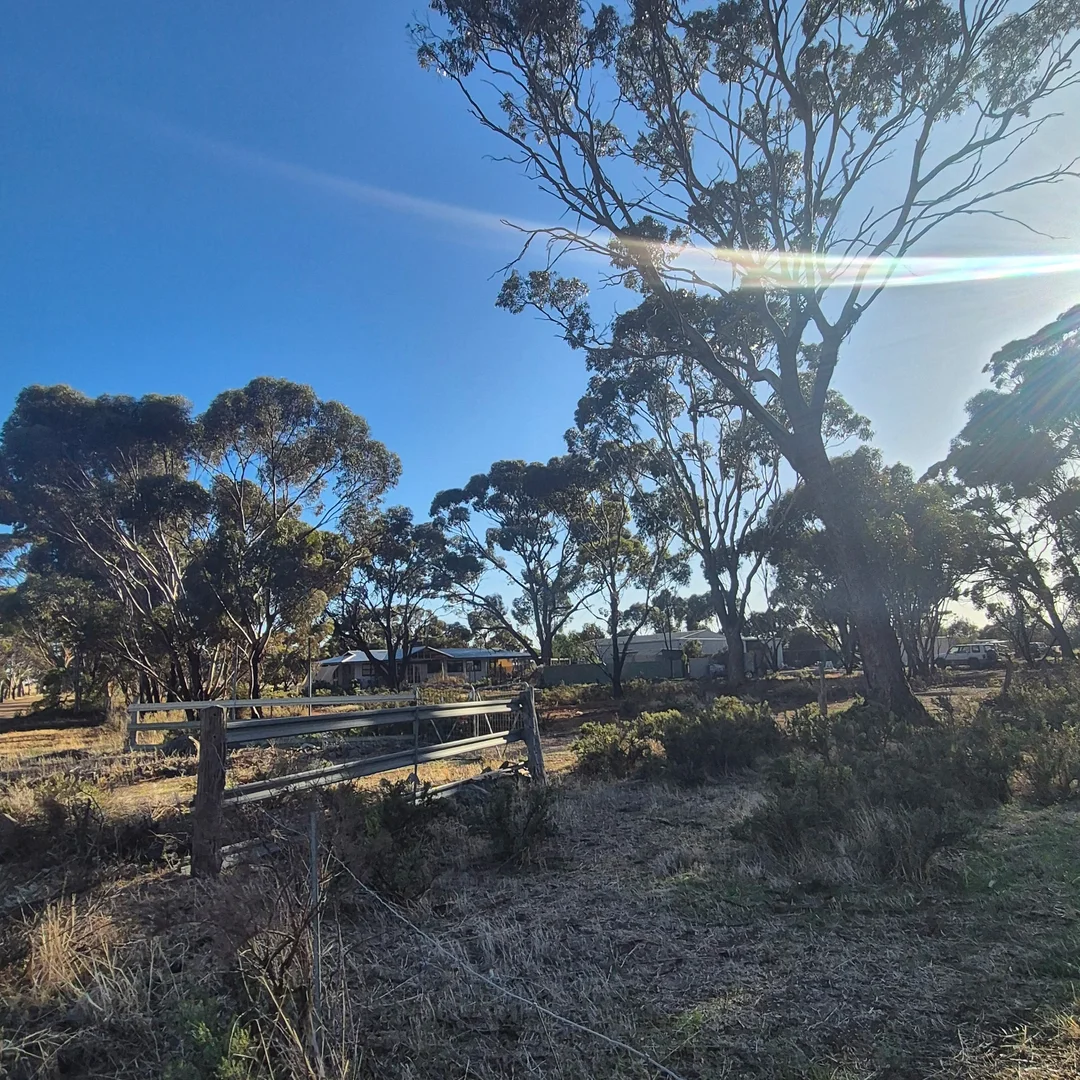 Image 12