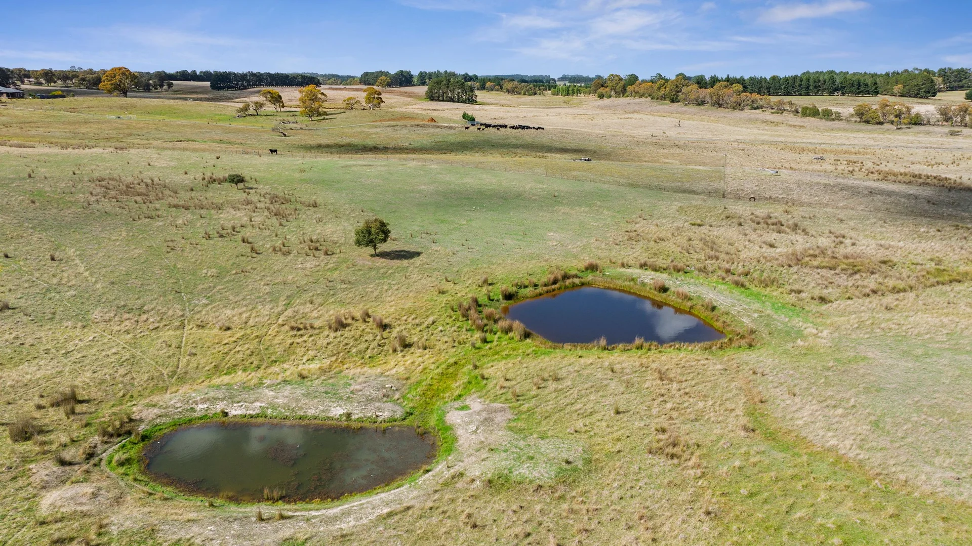 Additional image 10 of 2770 Woodhouselee Road, Laggan via, Crookwell NSW 2583