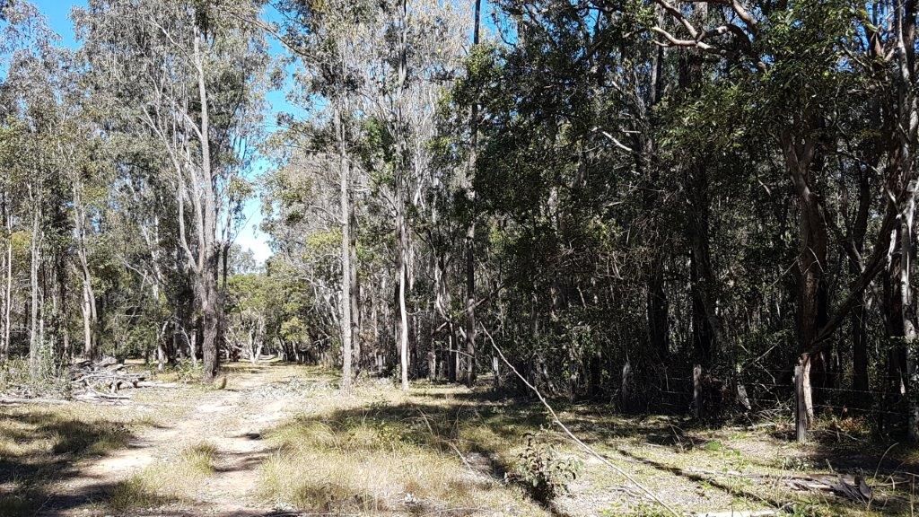 7041 Summerland Way, Myrtle Creek NSW 2469, Image 1