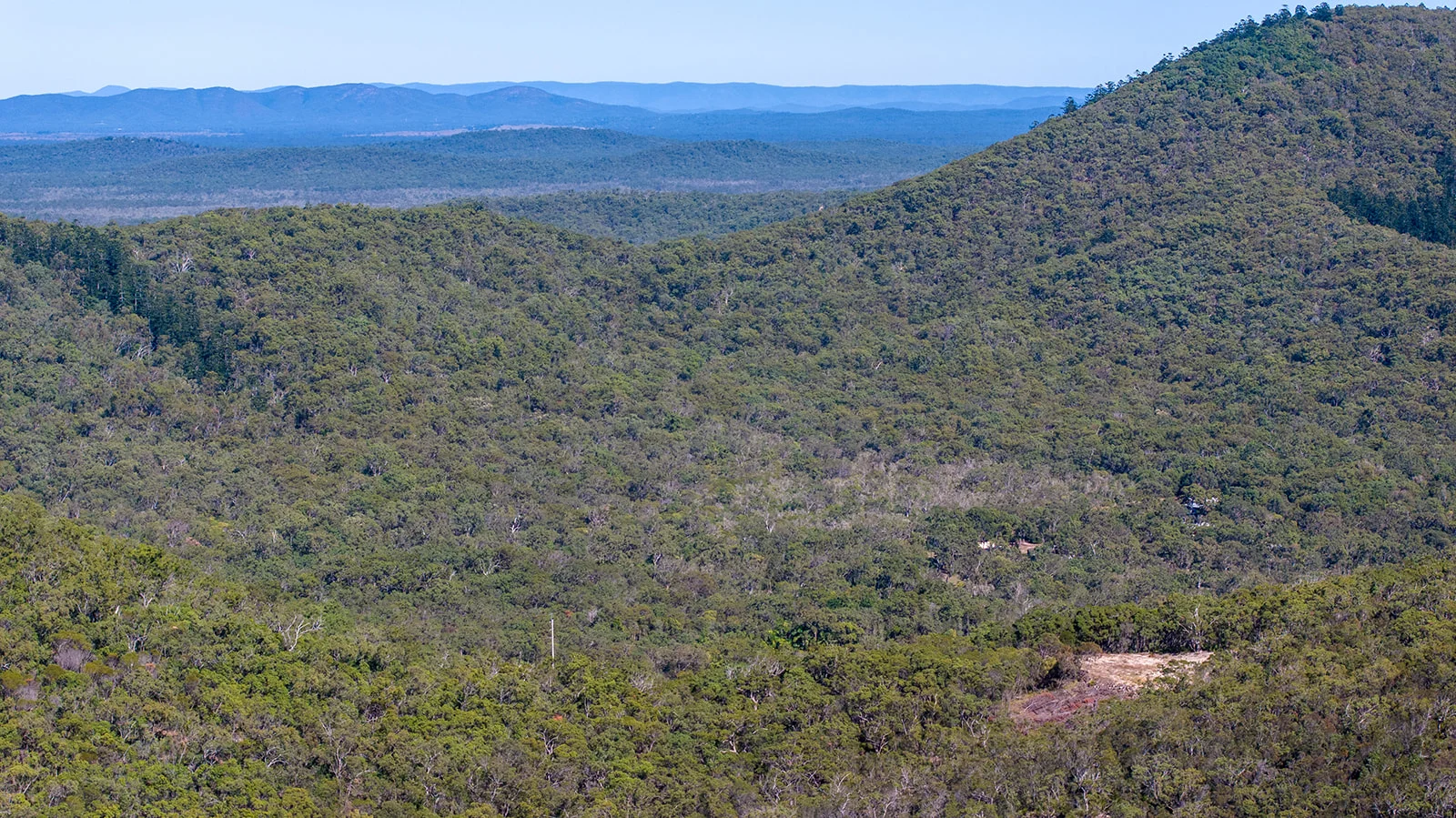 Image 13