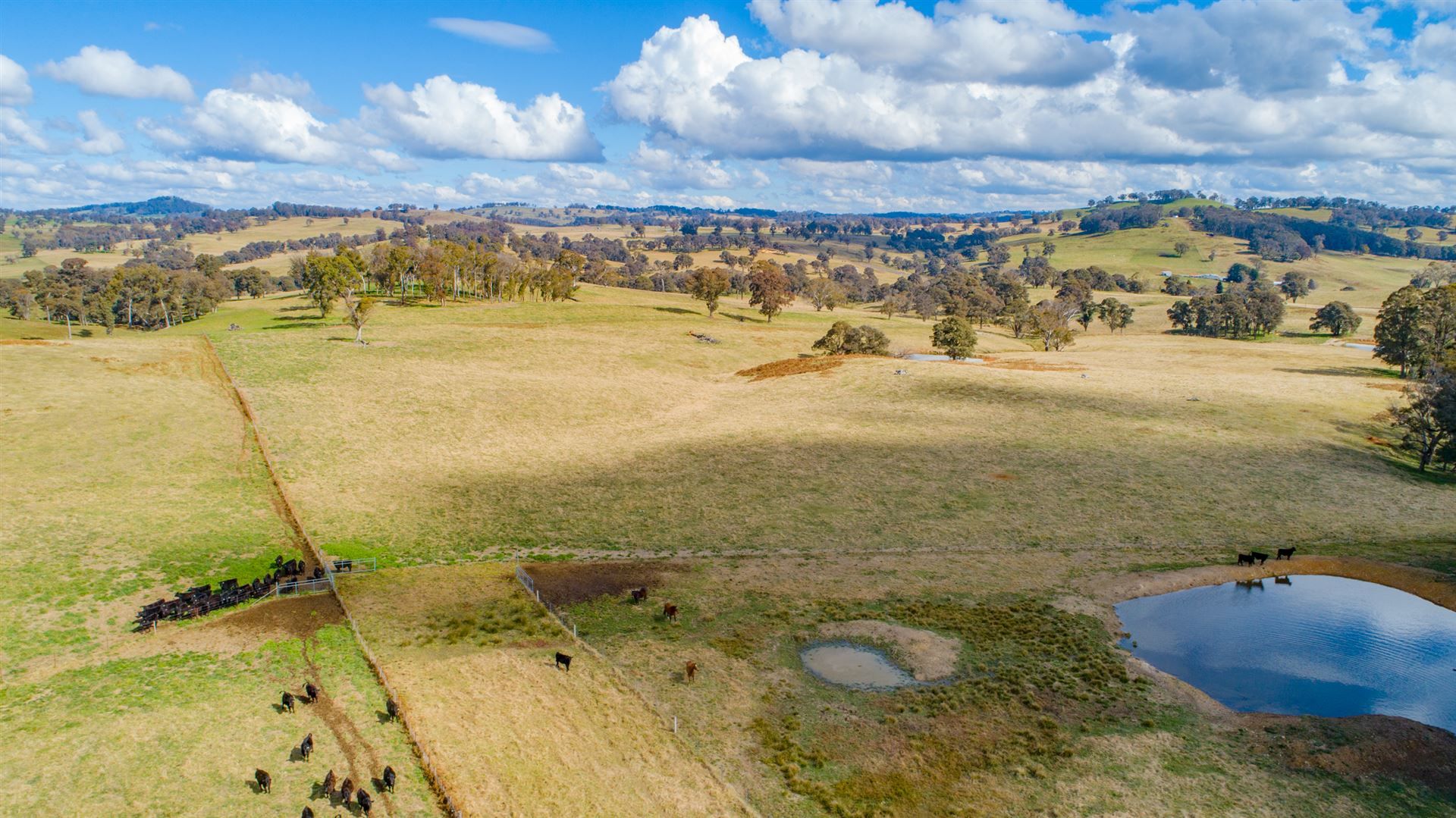 Walcha NSW 2354, Image 0